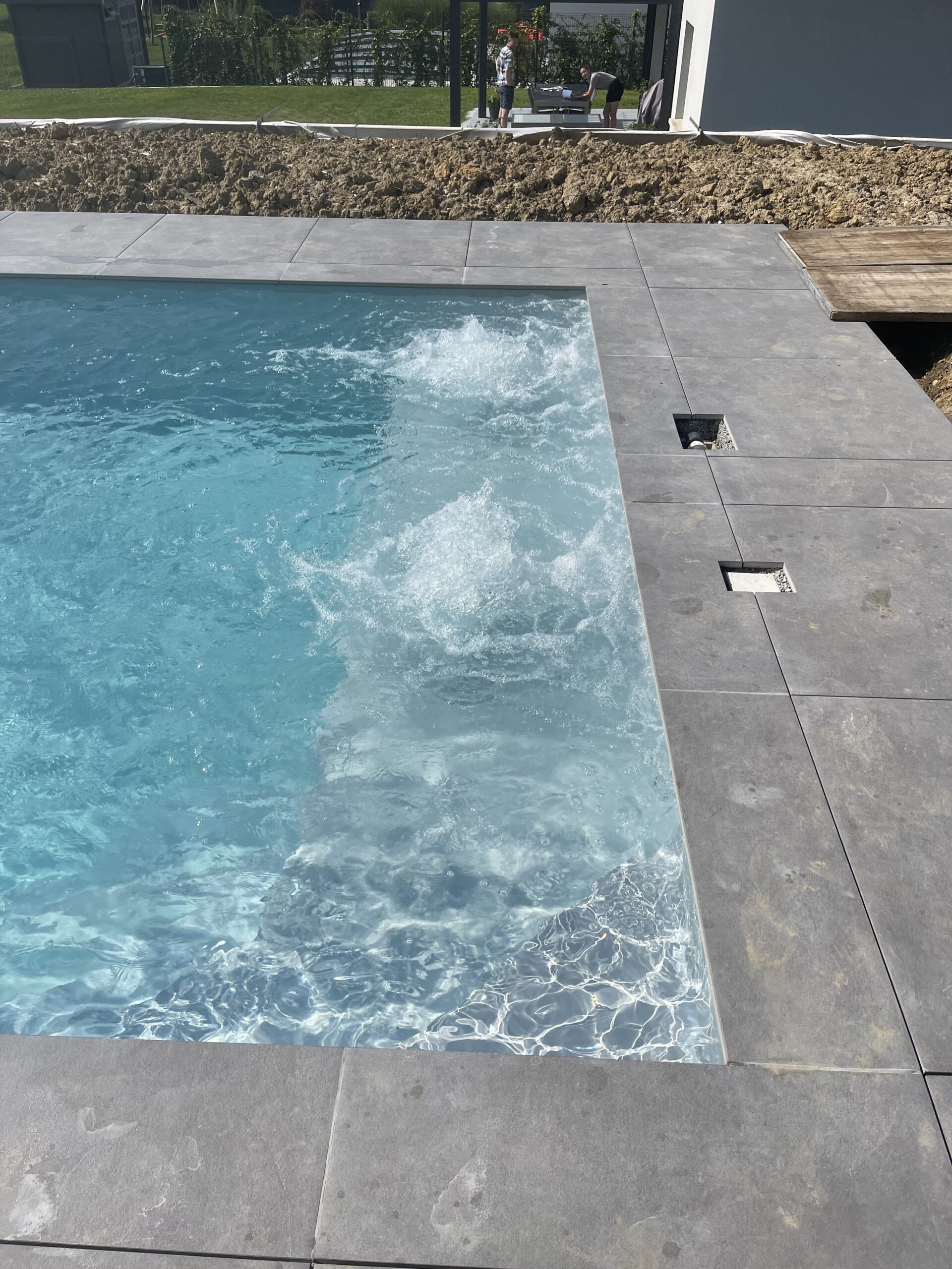 Piscine avec marches intégrées et palmiers