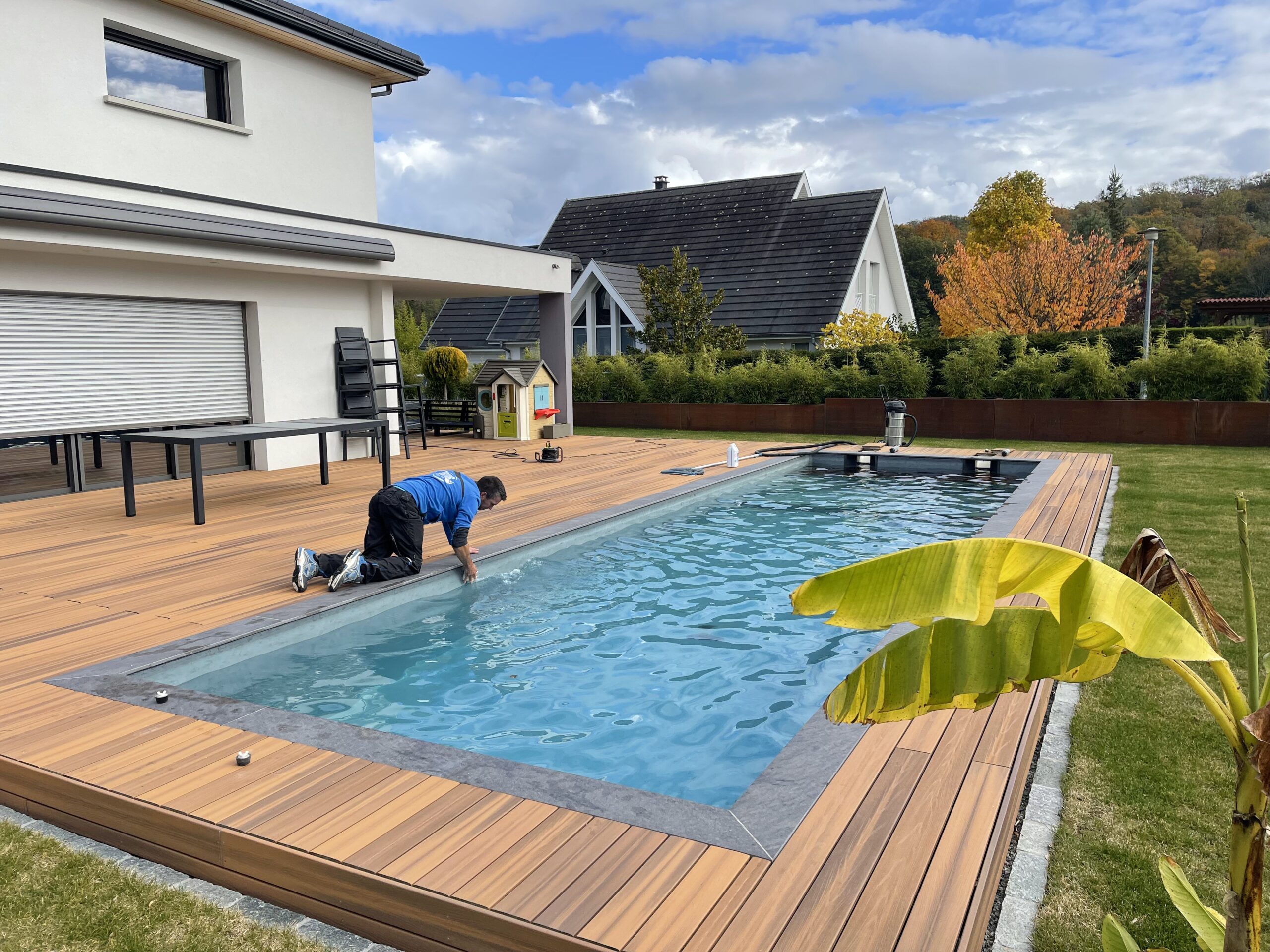 Piscine avec marches intégrées et palmiers