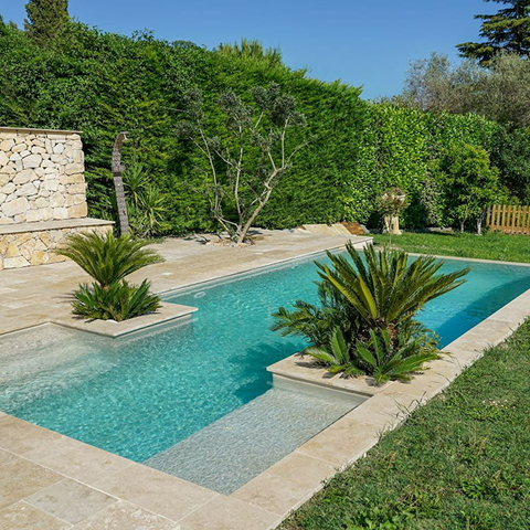 Piscine avec marches intégrées et palmiers